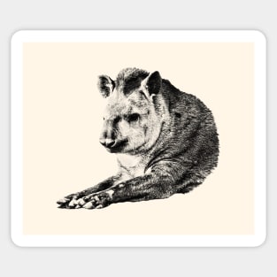 Tapir Sticker